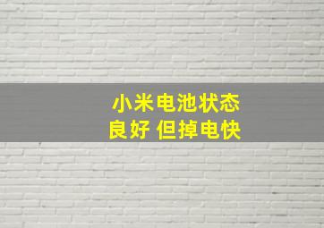 小米电池状态良好 但掉电快